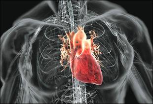 Kardiovaskulárne ochorenia